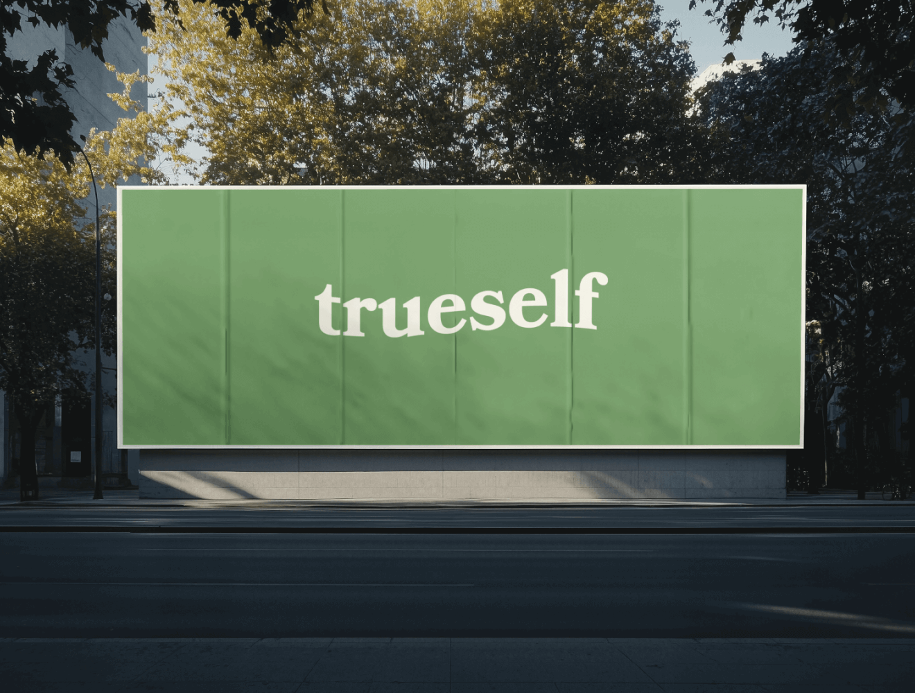 True Self website preview
